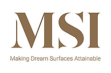 msi-logo.jpg